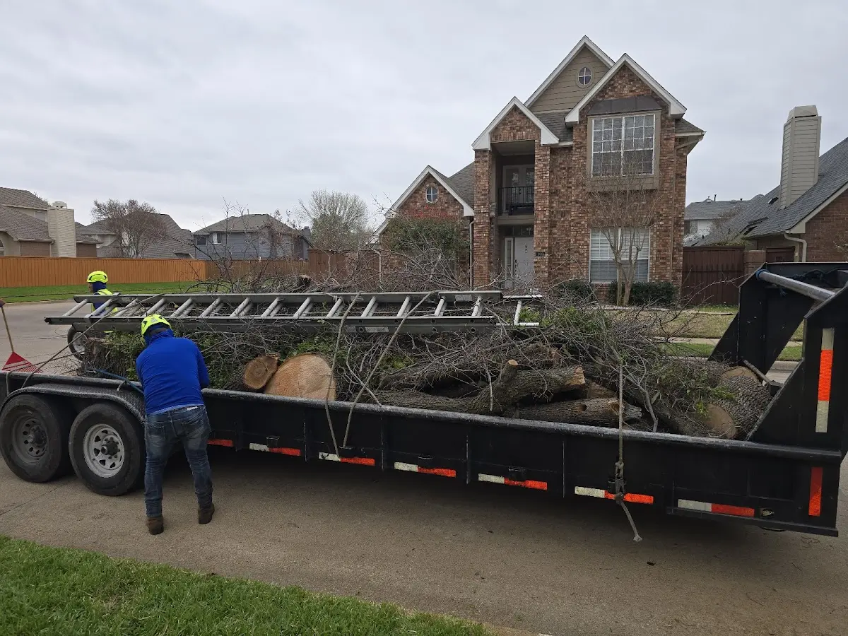 Expert Tree Pest Control with proper safety equipment in Dakota
